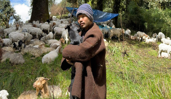 ओझेलमा बागलुङको ‘खिउ बराह ताल’