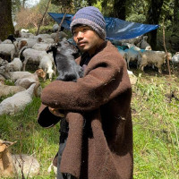 मलेसियाको श्रम मापदण्डबारे धारणा माग