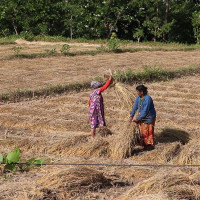 गोरखापत्रलाई नाफाको नजरबाट मात्र नहेरौँ