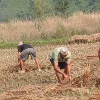 शरद ऋतुमा एक हजार दुई सय बढीलाई आरोहण अनुमति