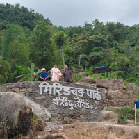 पुस्तक छपाइमा निजीको दायरा खुम्चिँदै