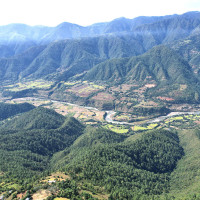 मयूर पकाएको भिडियो राख्ने भारतीय युट्युबर पक्राउ