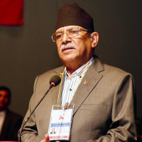 दलहरूको ध्यान निर्वाचनमा