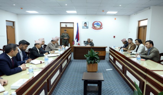 दलहरूको ध्यान निर्वाचनमा