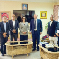 चितवनमा एक लाख १६ हजार कुखुरामा बर्डफ्लु पुष्टि