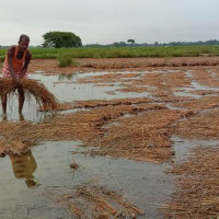 सबै प्रिपेडमा रोमिङ सुविधा