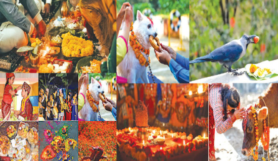 एमालेले तय गर्‍यो प्रदेशतर्फको समानुपातिक सांसदको नाम (सूचिसहित)