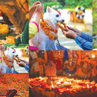 चिकित्सा क्षेत्रको गुणस्तरमा ध्यान दिन आवश्यक