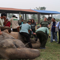 वाम्बुलेले मनाए बाँसुरी दिवस