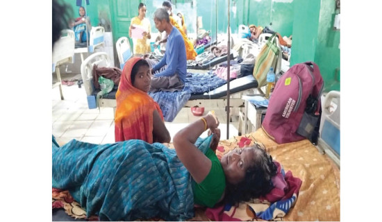 सर्पपालनको टुङ्गो छैन, खरिद गरिएको जमिन चरन क्षेत्र बन्दै