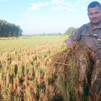 प्रधानमन्त्रीद्वारा विजेता खेलाडीलाई जनही तीन लाख पुरस्कारको घोषणा