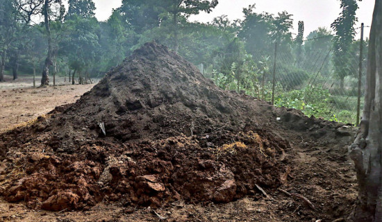 प्राङ्गारिक मलको प्रयोगले माटोको उर्वरा शक्ति बढ्यो