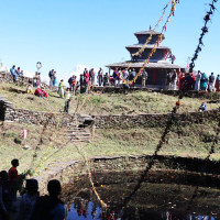 नयाँ व्यवस्थाले लाइसेन्स लिने बढे