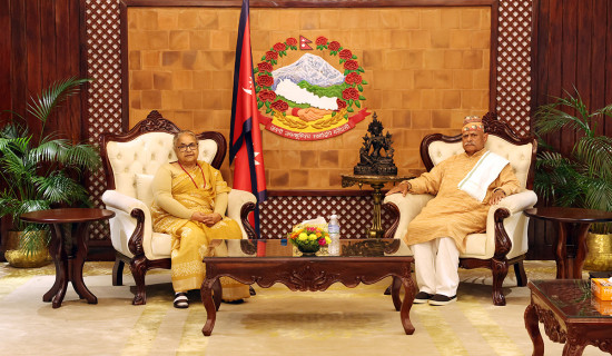 दलहरू चुनावमा जानैपर्छ : यादव