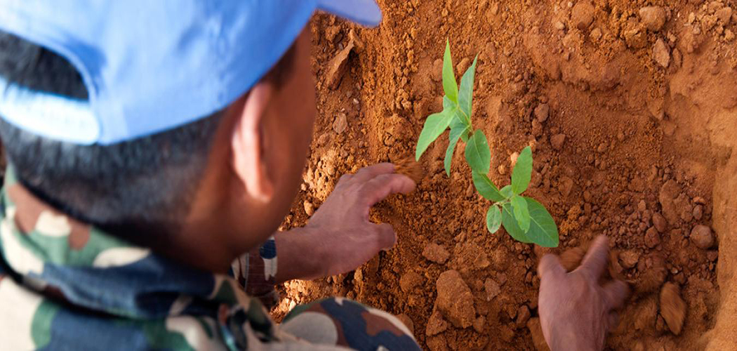 युद्ध र सशस्त्र द्वन्द्वमा वातावरणको दुरुपयोग रोक्न अन्तरराष्ट्रिय दिवस मनाइँदै