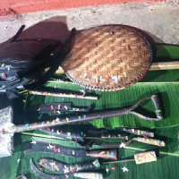 अन्तरदेशीय प्रसारण लाइनको क्षमता बढाइने