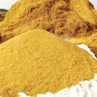 मङ्सिर १३ गते हुने एमाले महाधिवेशनको प्रतिनिधि चयनको तयारी सुरु