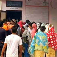 च्याङ्ग्राको नश्ल सुधारम तथा अनुसन्धानस्थल बन्दै मुस्ताङको च्याङ्ग्रा फार्म