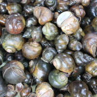 भूकम्पबाट सगरमाथा राष्ट्रिय निकुञ्जको भवनमा क्षति