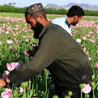 सुशासन र समृद्धि सरकारको प्रमुख लक्ष्य : मन्त्री गिरी