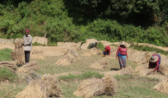 नेपाल भारत प्राज्ञिक सोध अवधारणा बारे छलफल