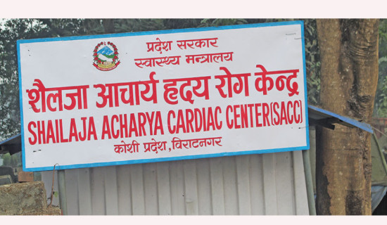 विधायिकी विलम्बमा सभाध्यक्ष असन्तुष्ट