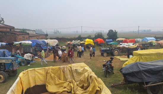 धान बेच्न किसान रातभर लाइनमा, सरकारी खरिद केन्द्रमा भीड