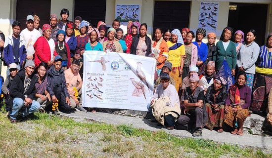 धवलागिरिमा दुर्लभ पन्छी चिरकालिज भेटिएपछि संरक्षण अभियान