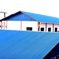 विश्व स्वास्थ्य सङ्गठनद्वारा भारतमा ‘मानवमा वर्ड फ्लु’को सङ्क्रमण पुष्टि