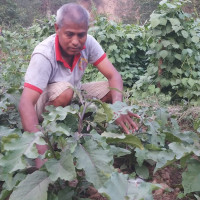 बत्तिस वर्षमा व्यावसायिक उडान