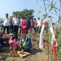 बत्तिस वर्षमा व्यावसायिक उडान