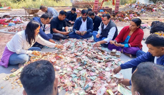 पाल्पाको सत्यवतीमा भेटी गणना सुरू