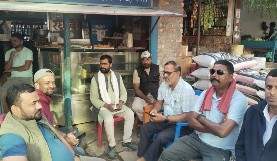 निर्वाचनको माहोल बनाउँदै विभिन्न दलका युवा नेता