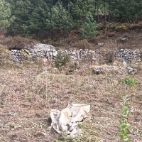 सार्वजनिक लगानी परिचालन सम्झौता सम्पन्न