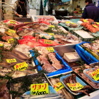 निर्माणाधीन नागढुङ्गा-मलेखु सडक खण्डको अनुगमन