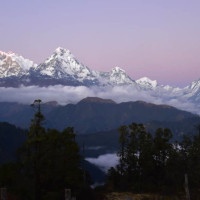 फूल व्यवसायी खुसी