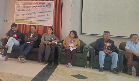 तिहारमा प्लास्टिक मालाको बिक्री बढ्यो