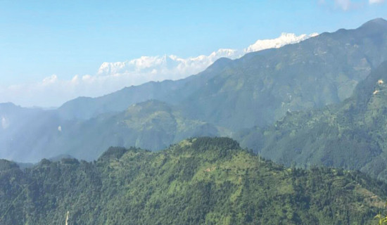 मूल्य बढ्दा सुनको आयात घट्यो