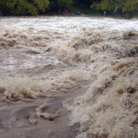 नर्सिङ सङ्घको अध्यक्ष पदमा तीन जनाको उम्मेदवारी