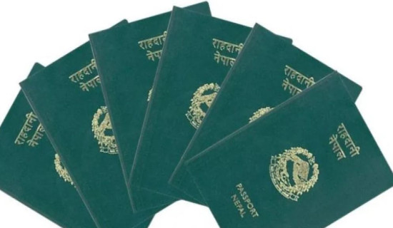 तनहुँमा दैनिक ४० राहदानी वितरण