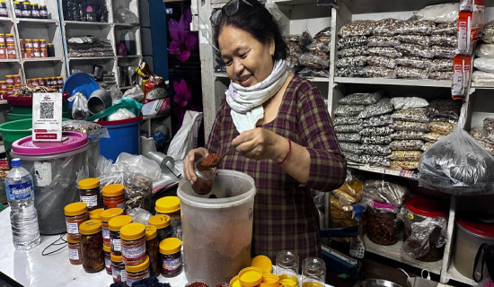 म्याग्दीको कोसेली टिमुरका परिकार