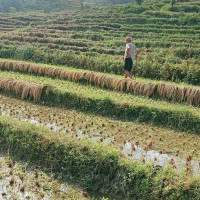 नेपाल–भारत नाका चार दिनका लागि बन्द हुने