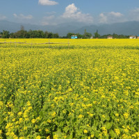 ‘गुणस्तरका आधारमा टोलीलाई बलियो बनाउँछु’