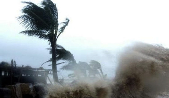 फुटबल खेलमा भागदौड मच्चिँदा गिनीमा ५६ जनाको मृत्यु