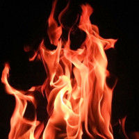 आयरल्यान्डद्वारा सिरिजमा ‘क्लिन स्विप’