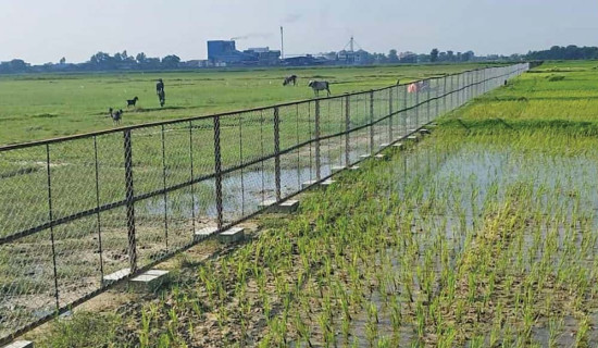 रेलमार्गको अन्तिम स्टेसन निर्माण पुनः सुरु