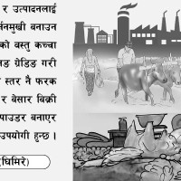 ऐन बन्न ढिलाइ नै मुख्य समस्या