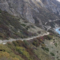 बाँदरलाई कृषि हानिकारक वन्यजन्तु घोषणा गर्ने तयारी