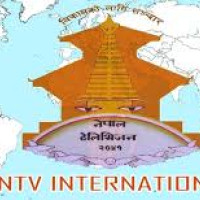 डङ्गोलको ‘पुस्तकालय : अध्ययन संस्कृतिका आधार’