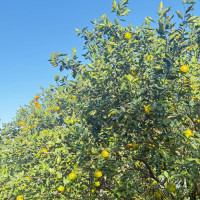 दोलखाली नागरिकको हितमा काम गर्छु : मन्त्री काफ्ले